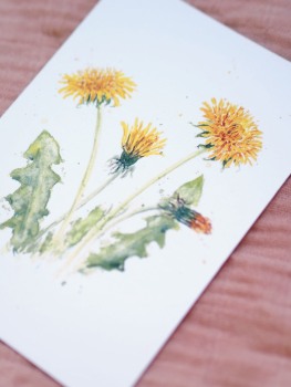 Premium Postkarte "Löwenzahn"